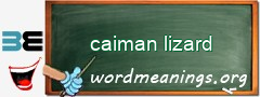 WordMeaning blackboard for caiman lizard